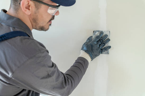 Best Fire-Damaged Drywall Repair  in Springdale, MD